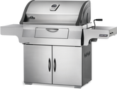 Napeoleon Professional Charcoal Grill